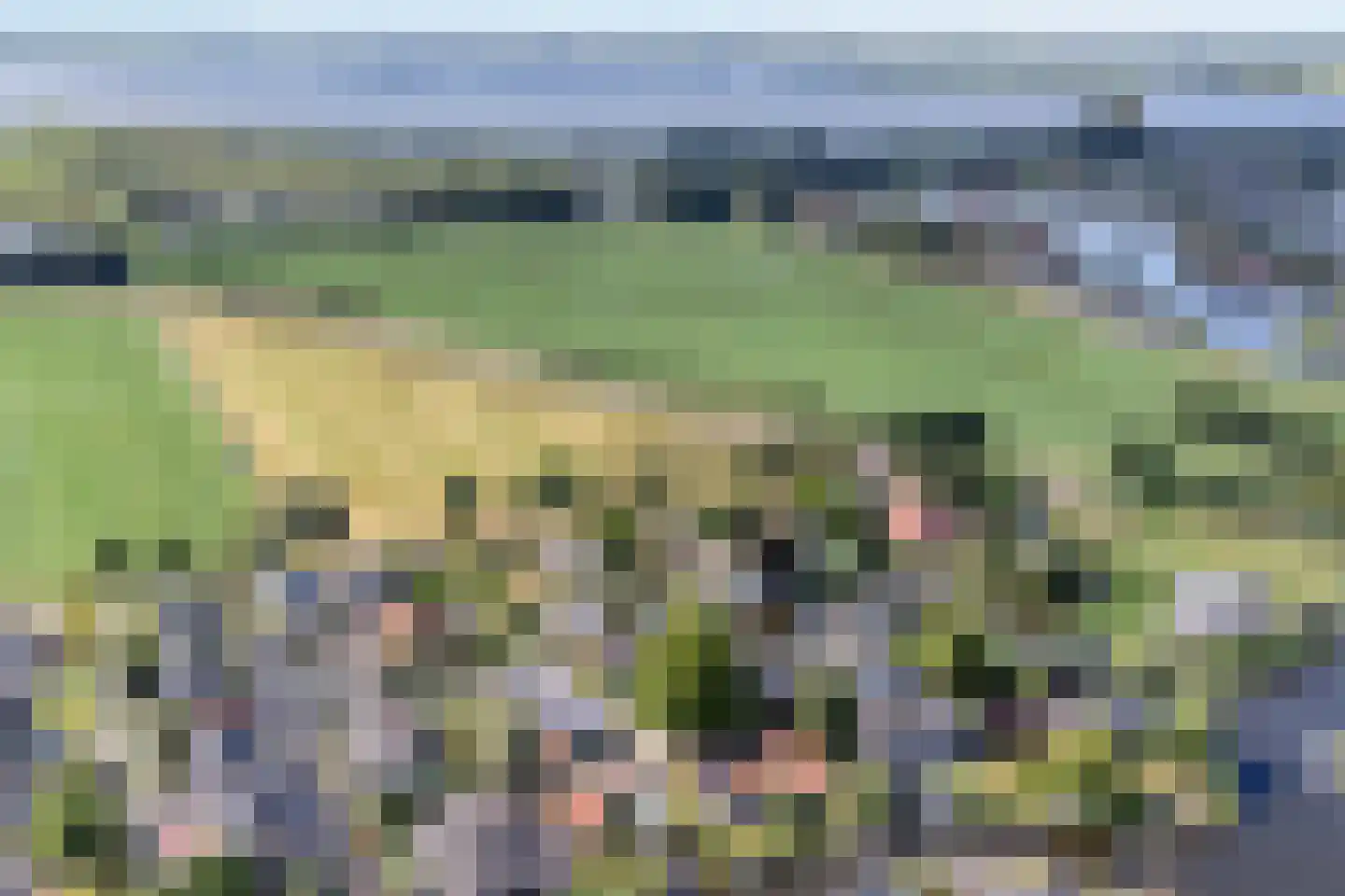 Utbuorren 16 Terherne thumbnail 96