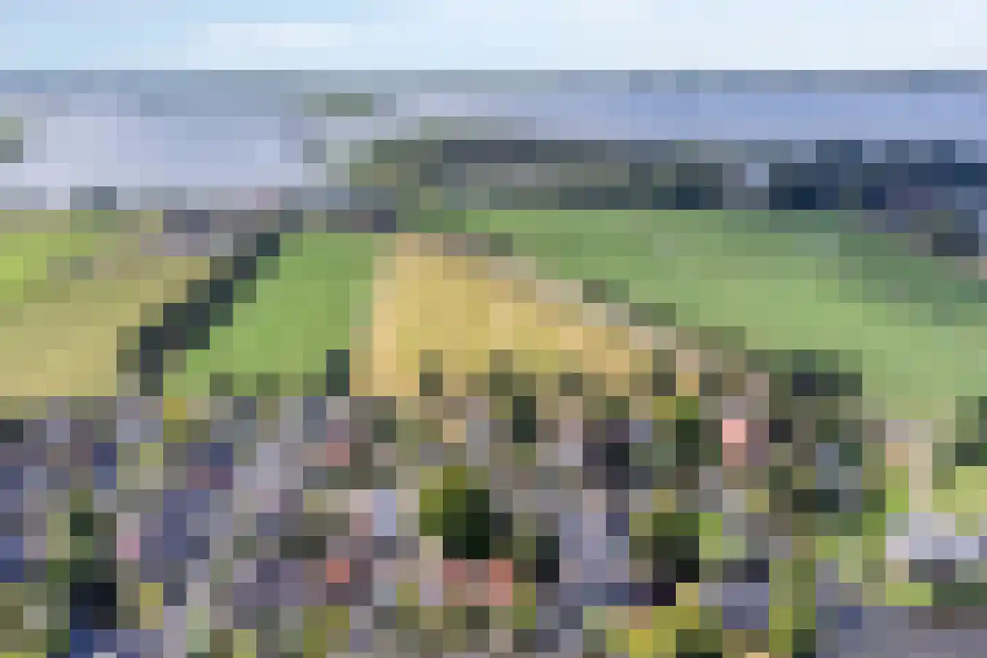 Utbuorren 16 Terherne thumbnail 98