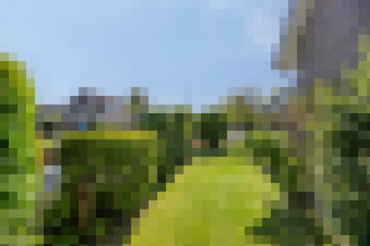 Utbuorren 26 Terherne thumbnail 42