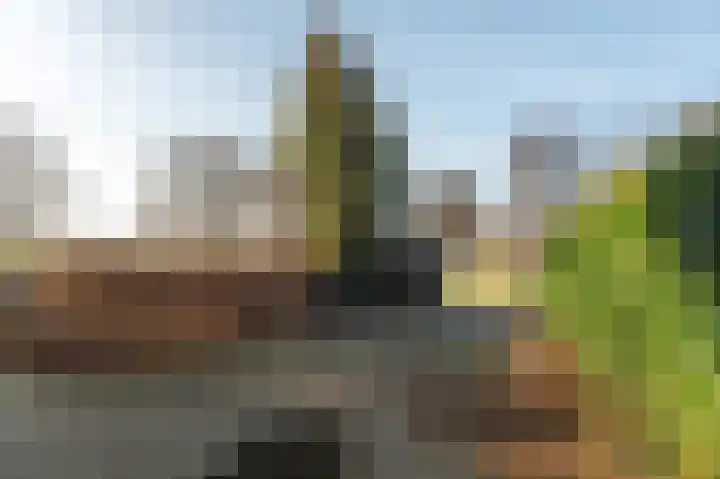 Utbuorren 33 Terherne thumbnail 29