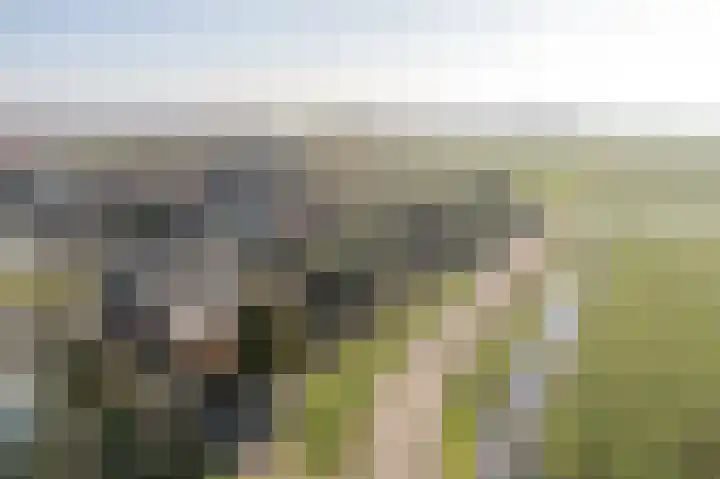 Utbuorren 33 Terherne thumbnail 32