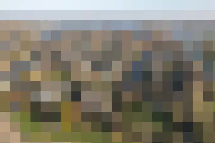 Utbuorren 33 Terherne thumbnail 33