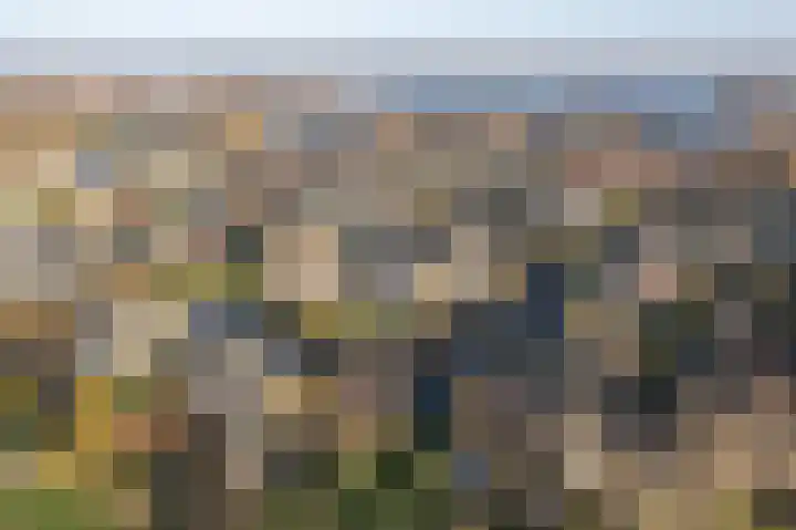 Utbuorren 33 Terherne thumbnail 34