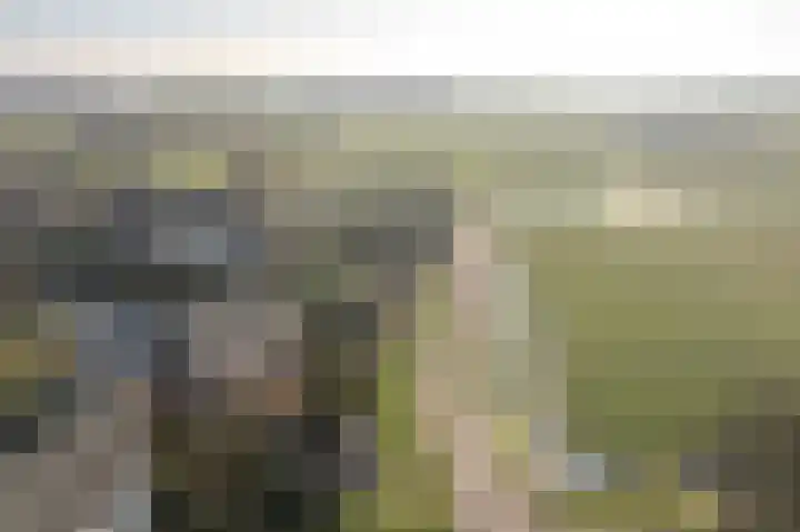 Utbuorren 33 Terherne thumbnail 35