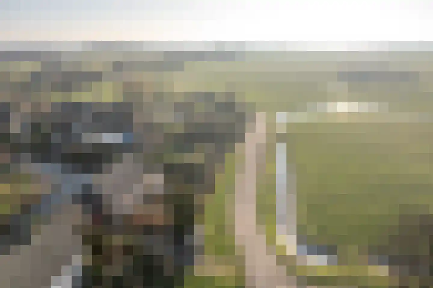 Utbuorren 33 Terherne thumbnail 35