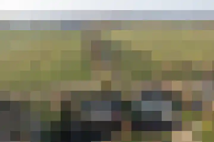Utbuorren 33 Terherne thumbnail 36