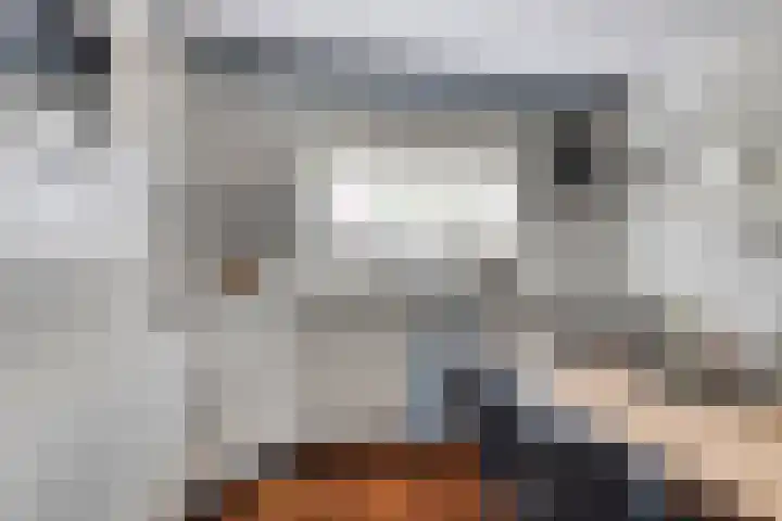 Utein 105 Beetsterzwaag thumbnail 15