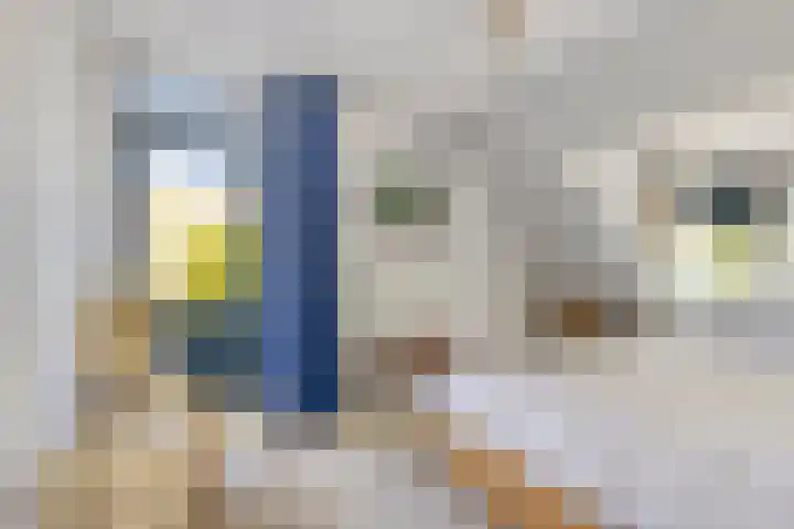 Utein 105 Beetsterzwaag thumbnail 24