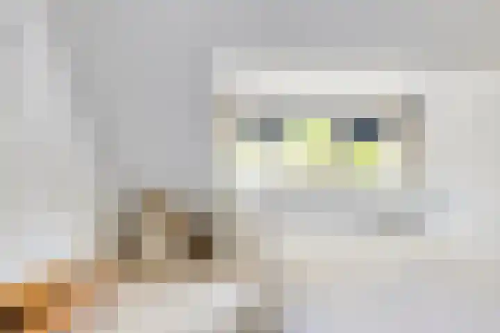 Utein 105 Beetsterzwaag thumbnail 25