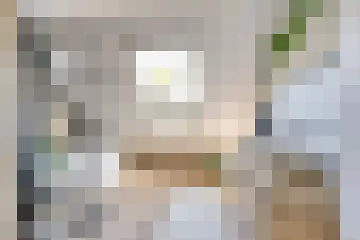 Utein 105 Beetsterzwaag thumbnail 26