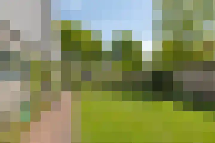 Utein 105 Beetsterzwaag thumbnail 35