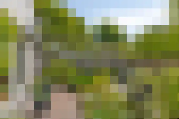 Utein 105 Beetsterzwaag thumbnail 38