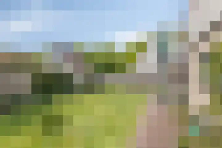 Utein 105 Beetsterzwaag thumbnail 39