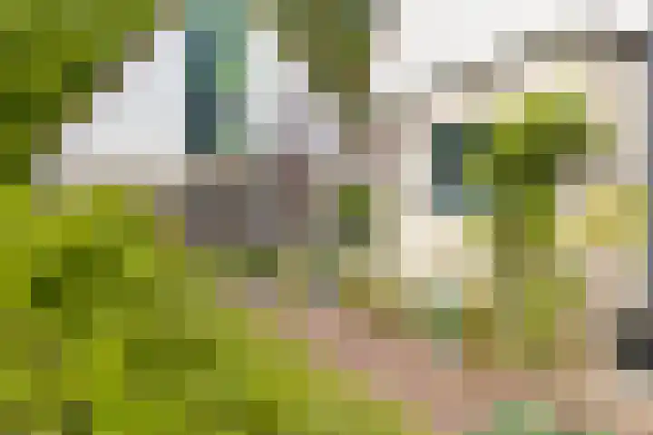 Utein 105 Beetsterzwaag thumbnail 43