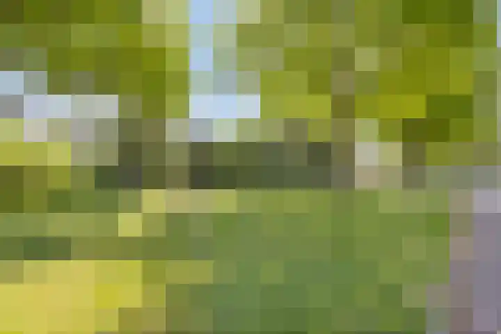 Utein 105 Beetsterzwaag thumbnail 45