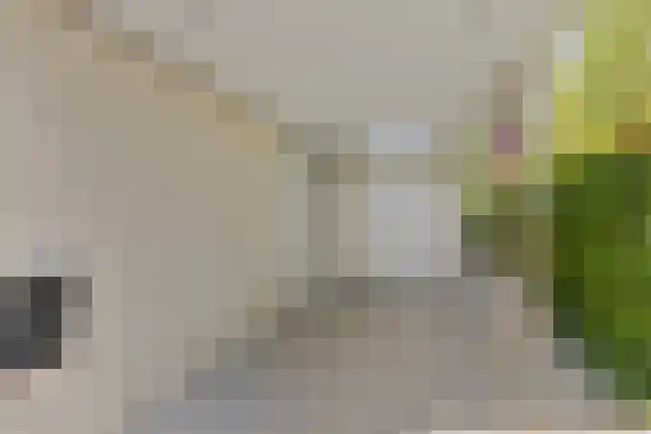Utein 105 Beetsterzwaag thumbnail 5