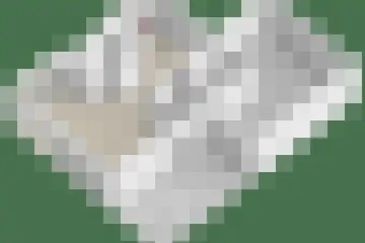 Utein 105 Beetsterzwaag thumbnail 52