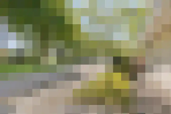 Utein 105 Beetsterzwaag thumbnail 6