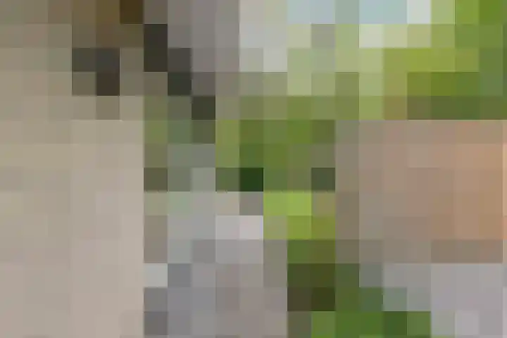 Utein 93 Beetsterzwaag thumbnail 40