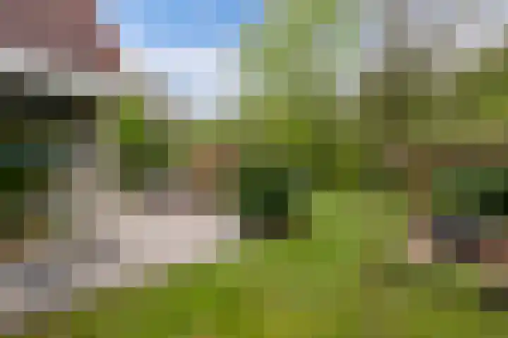 Utein 93 Beetsterzwaag thumbnail 41
