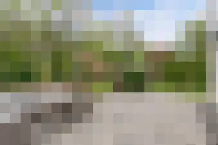 Utein 93 Beetsterzwaag thumbnail 42