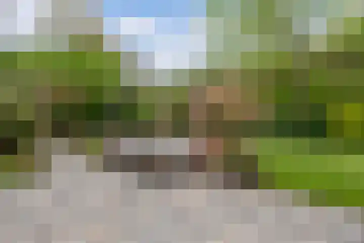 Utein 93 Beetsterzwaag thumbnail 43