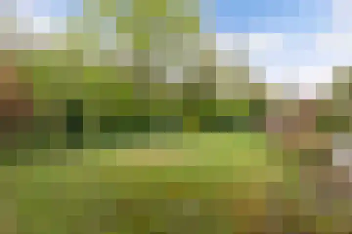 Utein 93 Beetsterzwaag thumbnail 44