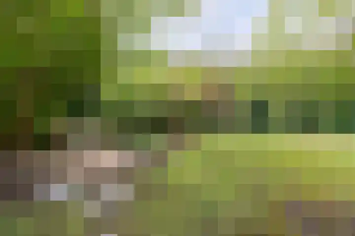 Utein 93 Beetsterzwaag thumbnail 45