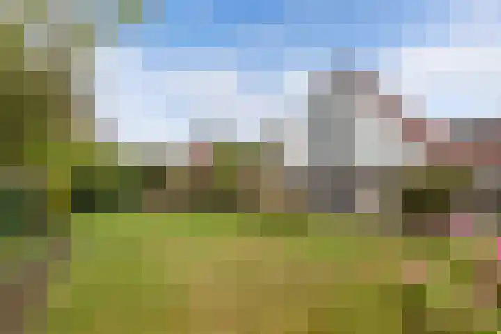 Utein 93 Beetsterzwaag thumbnail 46
