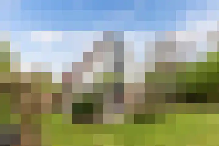Utein 93 Beetsterzwaag thumbnail 47