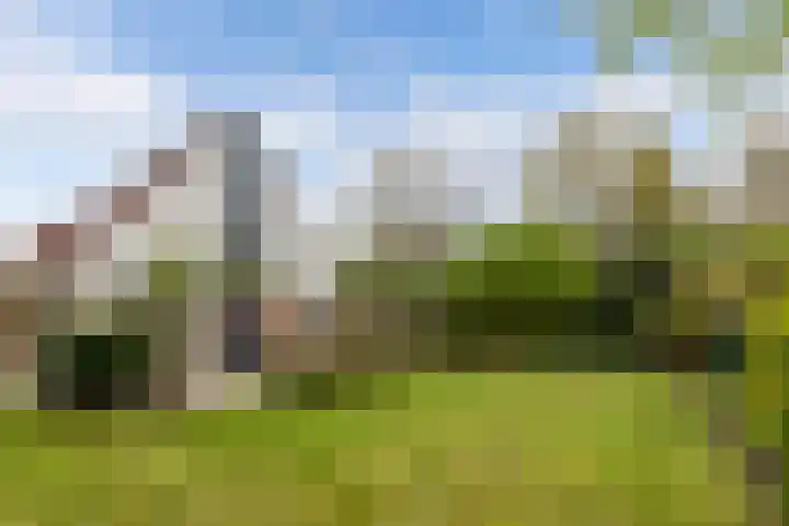 Utein 93 Beetsterzwaag thumbnail 48