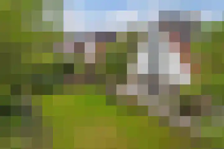 Utein 93 Beetsterzwaag thumbnail 52