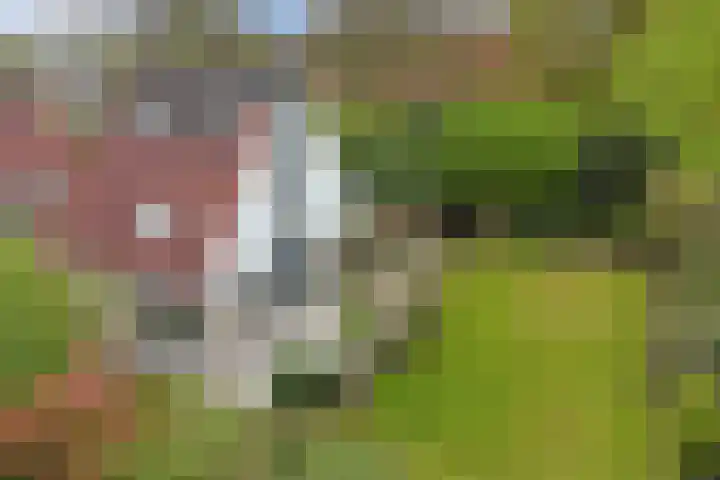 Utein 93 Beetsterzwaag thumbnail 53