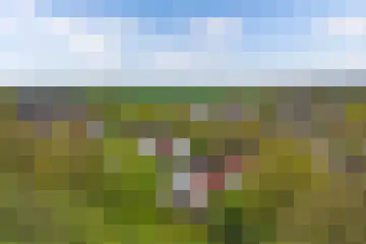Utein 93 Beetsterzwaag thumbnail 54