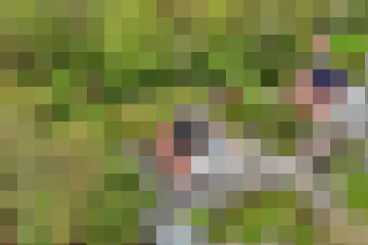 Utein 93 Beetsterzwaag thumbnail 58