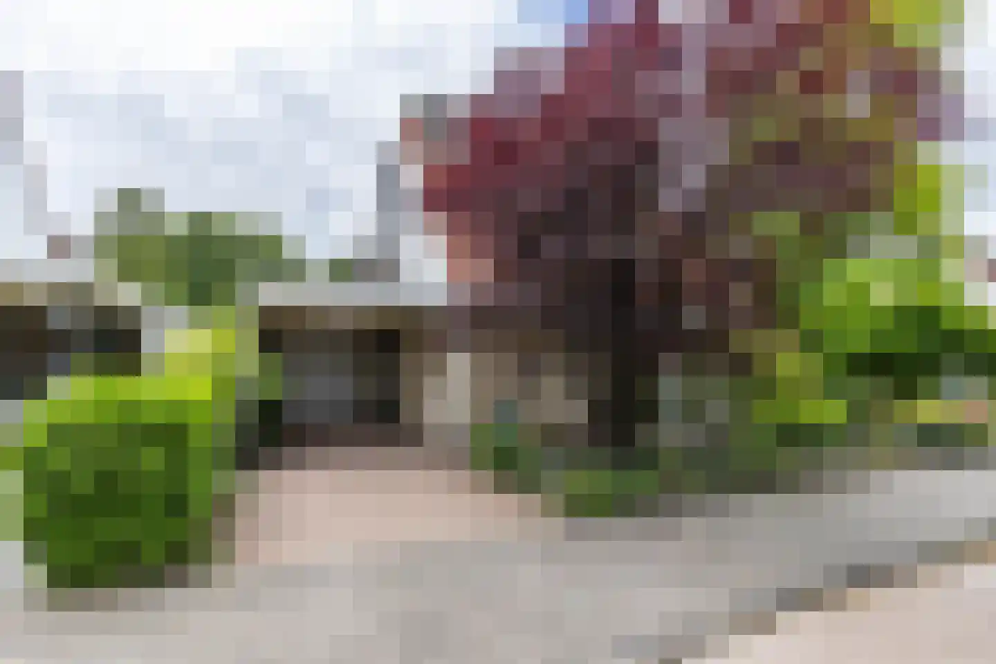 Utein 99 Beetsterzwaag