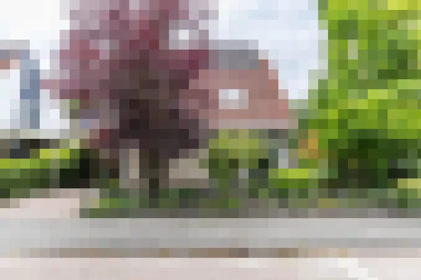 Utein 99 Beetsterzwaag thumbnail 33