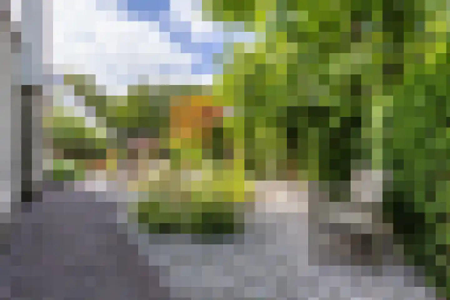 Utein 99 Beetsterzwaag thumbnail 35