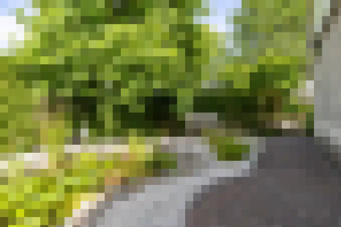 Utein 99 Beetsterzwaag thumbnail 36