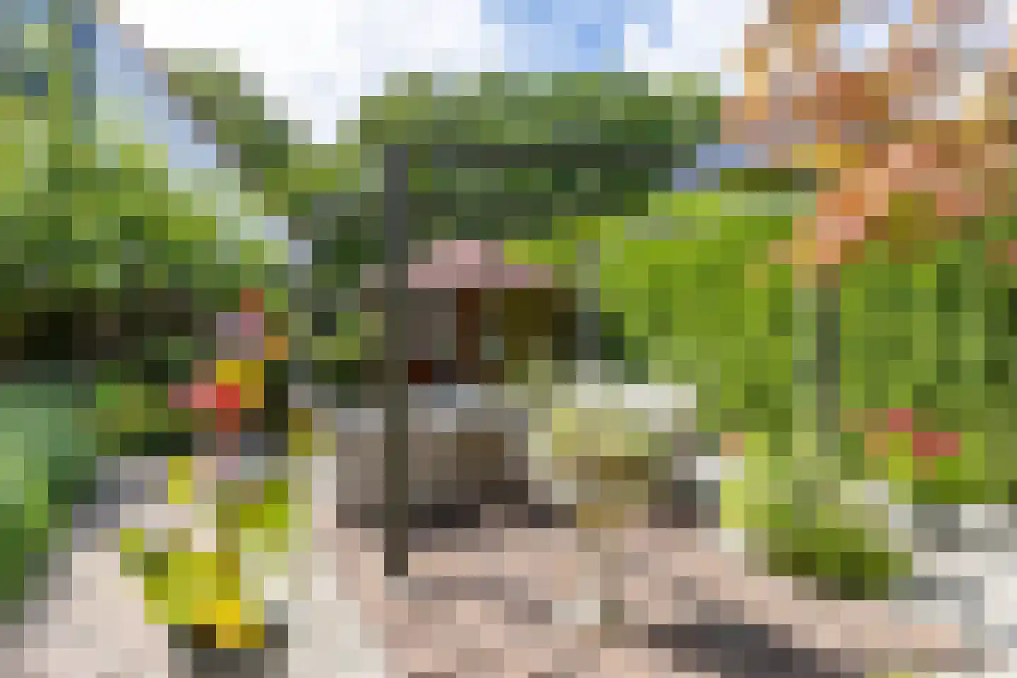 Utein 99 Beetsterzwaag thumbnail 38