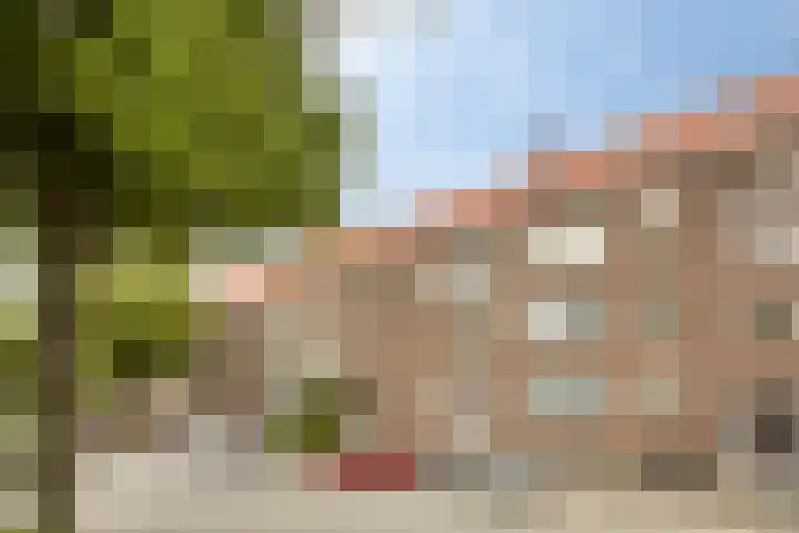 Utenhagestraat 229 C Rotterdam thumbnail 19