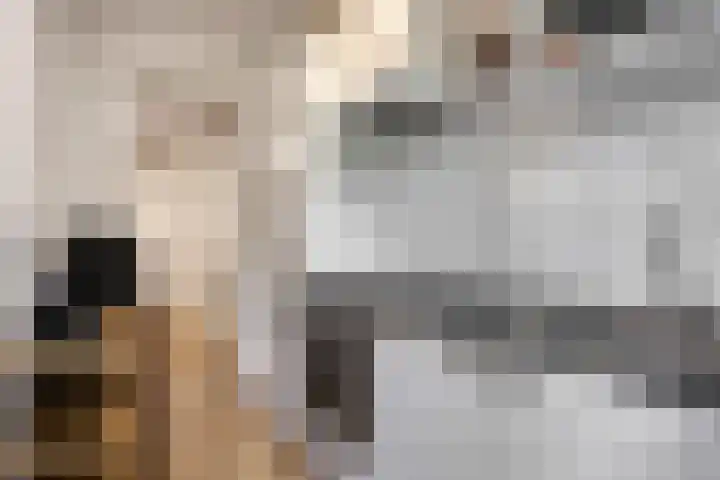 Utenhagestraat 229 C Rotterdam thumbnail 7