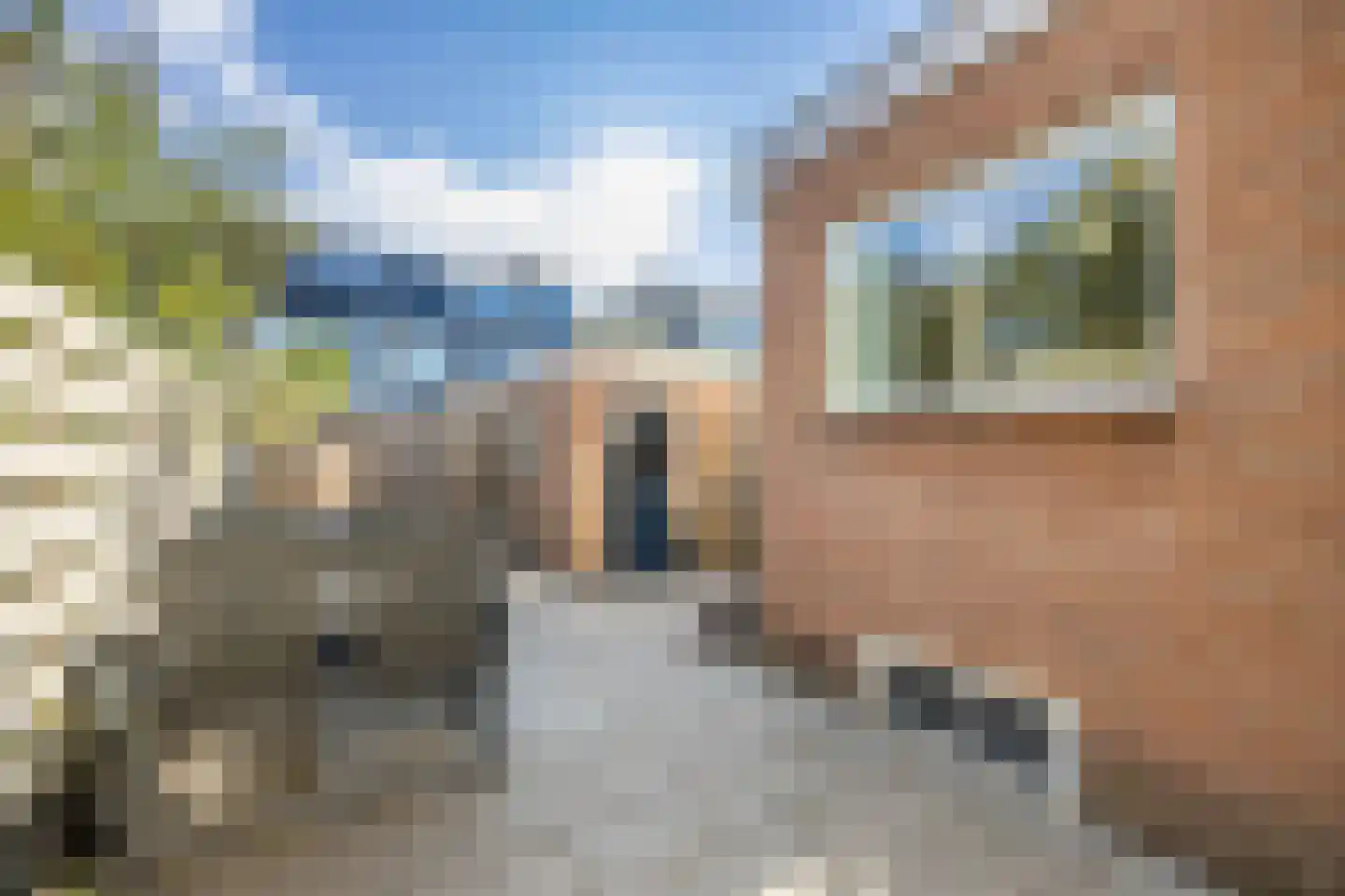Utenhamstraat 11 Vleuten thumbnail 23