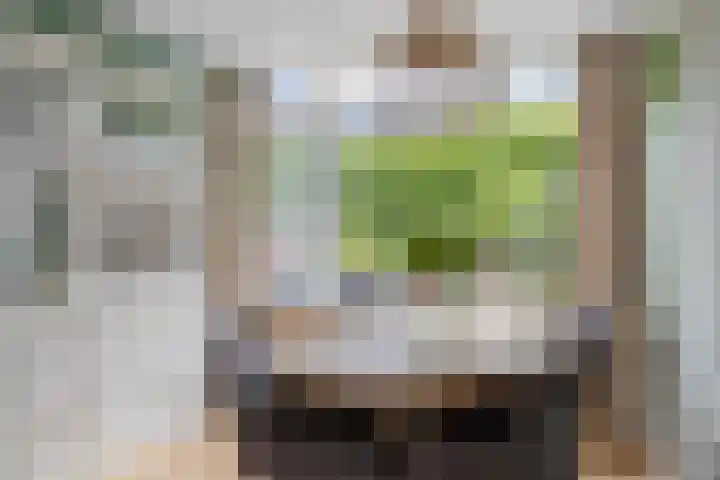 Utenhamstraat 7 Vleuten thumbnail 17