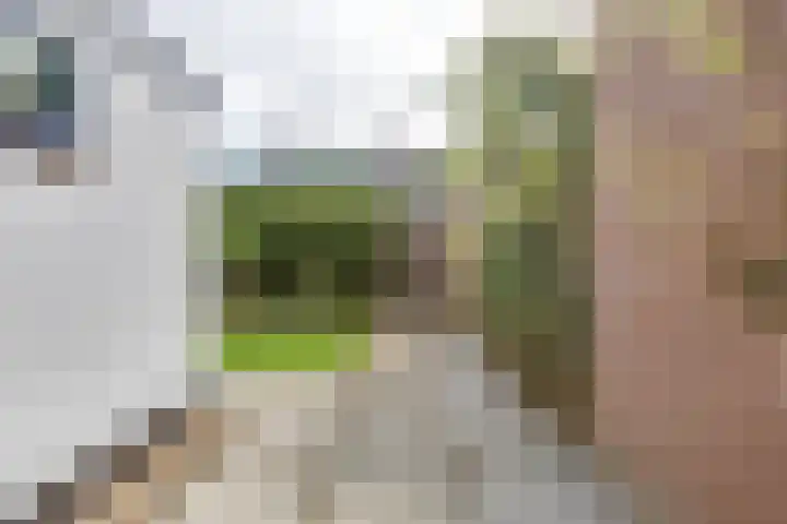Utenhamstraat 7 Vleuten thumbnail 50