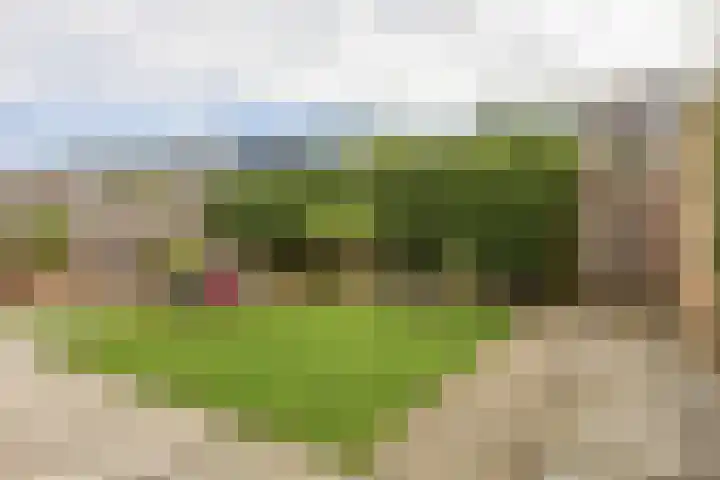 Utenhamstraat 7 Vleuten thumbnail 51
