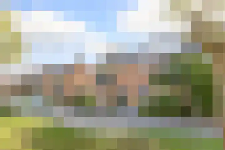 Utenhamstraat 7 Vleuten thumbnail 6