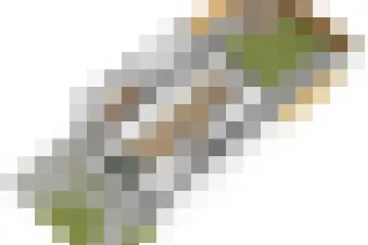 Utenhamstraat 7 Vleuten thumbnail 61