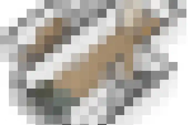 Utenhamstraat 7 Vleuten thumbnail 63