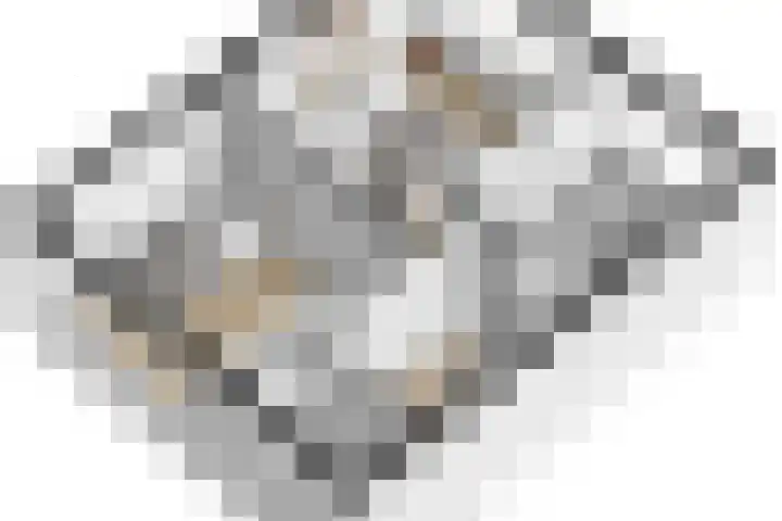 Utenhamstraat 7 Vleuten thumbnail 65